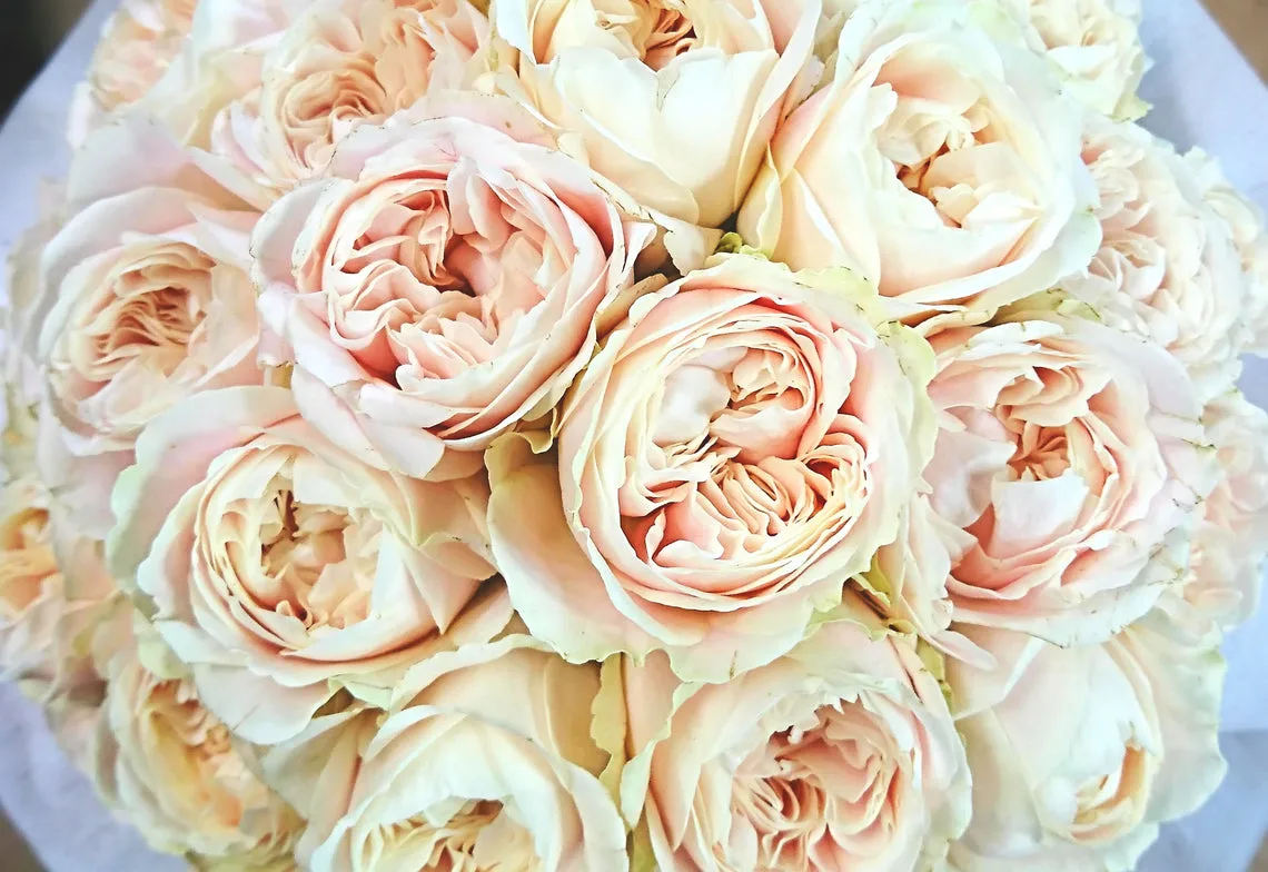 Top-down macro of a blush and cream garden-rose bridal bouquet